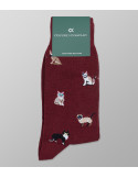 Socks Print | Oxford Company eShop